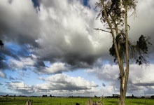 泸州同城论坛门户天涯社区，泸州人都爱登！