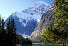 泸州同城论坛门户天涯社区，泸州人都爱登！