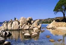 狗狗爱爱661在天涯社区的奇妙故事